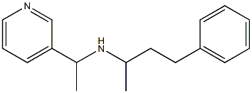 (4-phenylbutan-2-yl)[1-(pyridin-3-yl)ethyl]amine Structure