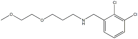 [(2,3-dichlorophenyl)methyl][3-(2-methoxyethoxy)propyl]amine Struktur