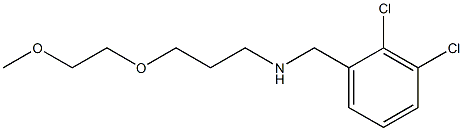  [(2,3-dichlorophenyl)methyl][3-(2-methoxyethoxy)propyl]amine