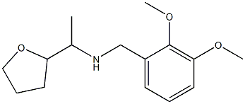 [(2,3-dimethoxyphenyl)methyl][1-(oxolan-2-yl)ethyl]amine|