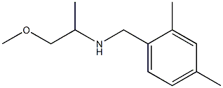 [(2,4-dimethylphenyl)methyl](1-methoxypropan-2-yl)amine,,结构式