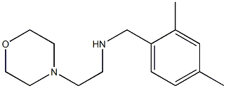  [(2,4-dimethylphenyl)methyl][2-(morpholin-4-yl)ethyl]amine