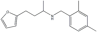 [(2,4-dimethylphenyl)methyl][4-(furan-2-yl)butan-2-yl]amine,,结构式