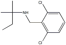 [(2,6-dichlorophenyl)methyl](2-methylbutan-2-yl)amine Structure