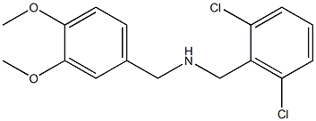 [(2,6-dichlorophenyl)methyl][(3,4-dimethoxyphenyl)methyl]amine