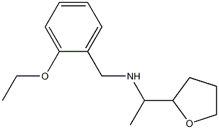[(2-ethoxyphenyl)methyl][1-(oxolan-2-yl)ethyl]amine,,结构式