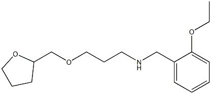 [(2-ethoxyphenyl)methyl][3-(oxolan-2-ylmethoxy)propyl]amine Structure