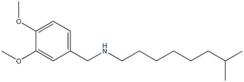 [(3,4-dimethoxyphenyl)methyl](7-methyloctyl)amine,,结构式