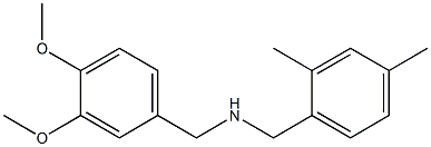 [(3,4-dimethoxyphenyl)methyl][(2,4-dimethylphenyl)methyl]amine Struktur