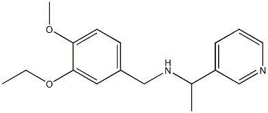 [(3-ethoxy-4-methoxyphenyl)methyl][1-(pyridin-3-yl)ethyl]amine