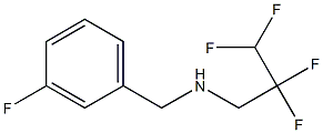 [(3-fluorophenyl)methyl](2,2,3,3-tetrafluoropropyl)amine|