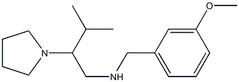 [(3-methoxyphenyl)methyl][3-methyl-2-(pyrrolidin-1-yl)butyl]amine,,结构式
