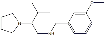  [(3-methoxyphenyl)methyl][3-methyl-2-(pyrrolidin-1-yl)butyl]amine