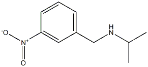  [(3-nitrophenyl)methyl](propan-2-yl)amine