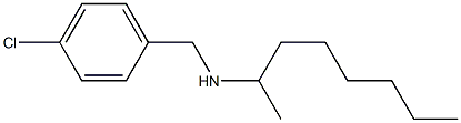 [(4-chlorophenyl)methyl](octan-2-yl)amine 结构式