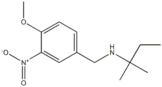 [(4-methoxy-3-nitrophenyl)methyl](2-methylbutan-2-yl)amine