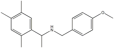 [(4-methoxyphenyl)methyl][1-(2,4,5-trimethylphenyl)ethyl]amine|