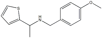 [(4-methoxyphenyl)methyl][1-(thiophen-2-yl)ethyl]amine