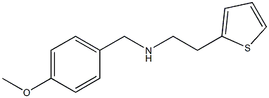 [(4-methoxyphenyl)methyl][2-(thiophen-2-yl)ethyl]amine Structure