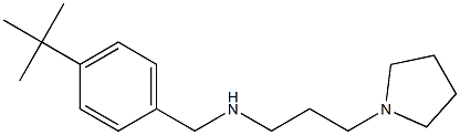  [(4-tert-butylphenyl)methyl][3-(pyrrolidin-1-yl)propyl]amine