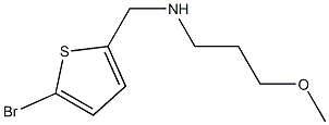 [(5-bromothiophen-2-yl)methyl](3-methoxypropyl)amine|