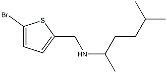 [(5-bromothiophen-2-yl)methyl](5-methylhexan-2-yl)amine 化学構造式