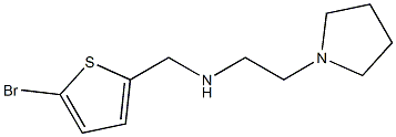[(5-bromothiophen-2-yl)methyl][2-(pyrrolidin-1-yl)ethyl]amine