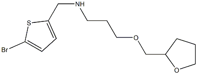 [(5-bromothiophen-2-yl)methyl][3-(oxolan-2-ylmethoxy)propyl]amine Structure