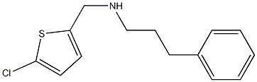  [(5-chlorothiophen-2-yl)methyl](3-phenylpropyl)amine