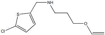 [(5-chlorothiophen-2-yl)methyl][3-(ethenyloxy)propyl]amine Structure