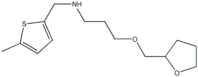 [(5-methylthiophen-2-yl)methyl][3-(oxolan-2-ylmethoxy)propyl]amine