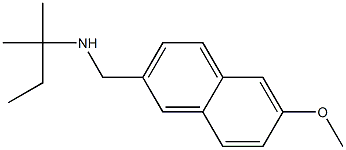 [(6-methoxynaphthalen-2-yl)methyl](2-methylbutan-2-yl)amine Structure