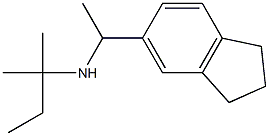 [1-(2,3-dihydro-1H-inden-5-yl)ethyl](2-methylbutan-2-yl)amine|