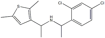 [1-(2,4-dichlorophenyl)ethyl][1-(2,5-dimethylthiophen-3-yl)ethyl]amine|