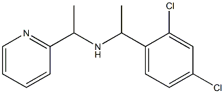 [1-(2,4-dichlorophenyl)ethyl][1-(pyridin-2-yl)ethyl]amine 化学構造式