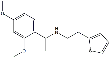 [1-(2,4-dimethoxyphenyl)ethyl][2-(thiophen-2-yl)ethyl]amine|