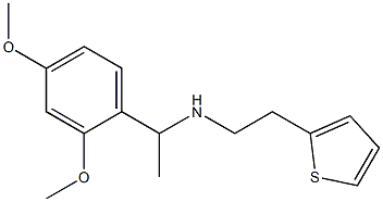 [1-(2,4-dimethoxyphenyl)ethyl][2-(thiophen-2-yl)ethyl]amine 结构式