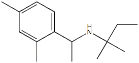 [1-(2,4-dimethylphenyl)ethyl](2-methylbutan-2-yl)amine,,结构式