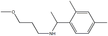 [1-(2,4-dimethylphenyl)ethyl](3-methoxypropyl)amine 化学構造式