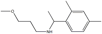  [1-(2,4-dimethylphenyl)ethyl](3-methoxypropyl)amine