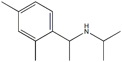 [1-(2,4-dimethylphenyl)ethyl](propan-2-yl)amine 化学構造式