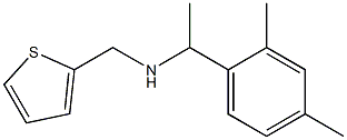 [1-(2,4-dimethylphenyl)ethyl](thiophen-2-ylmethyl)amine Structure