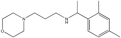 [1-(2,4-dimethylphenyl)ethyl][3-(morpholin-4-yl)propyl]amine,,结构式