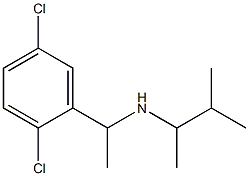 [1-(2,5-dichlorophenyl)ethyl](3-methylbutan-2-yl)amine 化学構造式