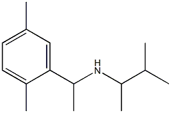 [1-(2,5-dimethylphenyl)ethyl](3-methylbutan-2-yl)amine 化学構造式