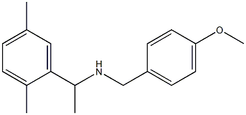 [1-(2,5-dimethylphenyl)ethyl][(4-methoxyphenyl)methyl]amine,,结构式