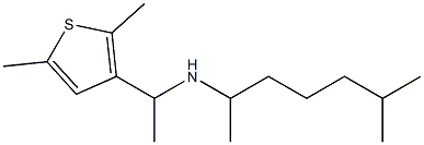 [1-(2,5-dimethylthiophen-3-yl)ethyl](6-methylheptan-2-yl)amine 化学構造式
