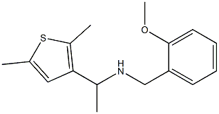 [1-(2,5-dimethylthiophen-3-yl)ethyl][(2-methoxyphenyl)methyl]amine