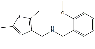  [1-(2,5-dimethylthiophen-3-yl)ethyl][(2-methoxyphenyl)methyl]amine