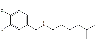 [1-(3,4-dimethoxyphenyl)ethyl](6-methylheptan-2-yl)amine